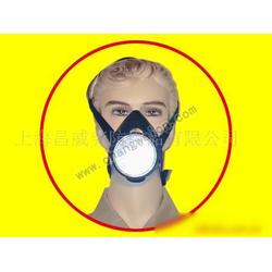 上海市防毒口罩批發(fā) 防毒口罩供應(yīng) 防毒口罩廠家 